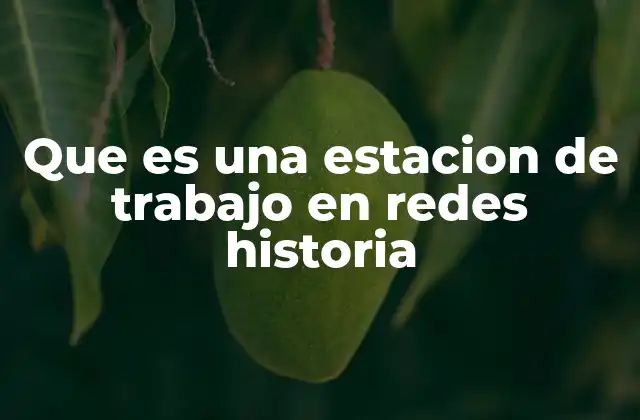 Que es una Estacion de Trabajo en Redes Historia
