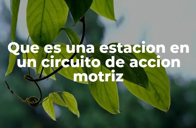 Que es una Estacion en un Circuito de Accion Motriz