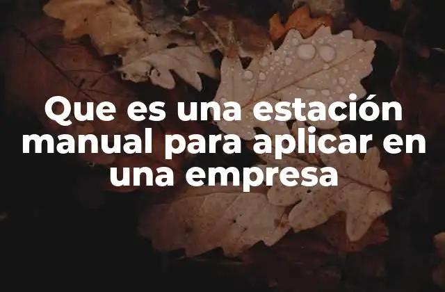Que es una Estación Manual para Aplicar en una Empresa