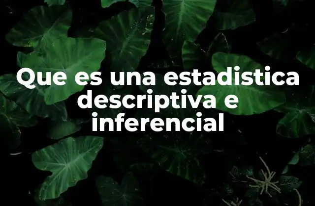 Que es una Estadistica Descriptiva e Inferencial