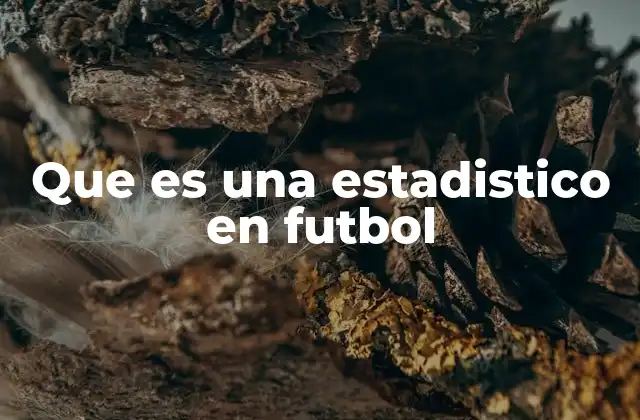 Que es una Estadistico en Futbol