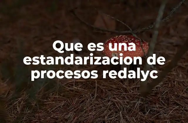 Que es una Estandarizacion de Procesos Redalyc