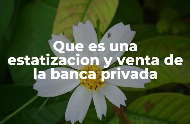 Que es una Estatizacion y Venta de la Banca Privada