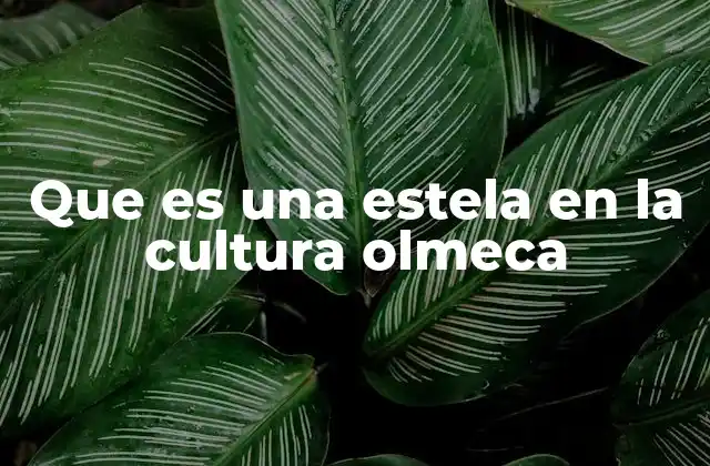 Que es una Estela en la Cultura Olmeca