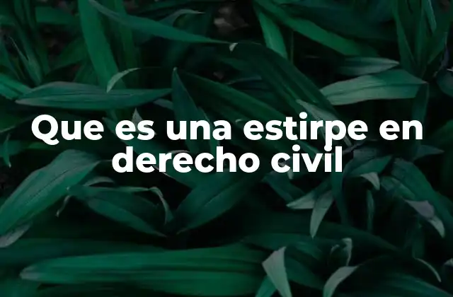Que es una Estirpe en Derecho Civil