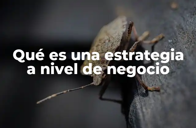 Qué es una Estrategia a Nivel de Negocio