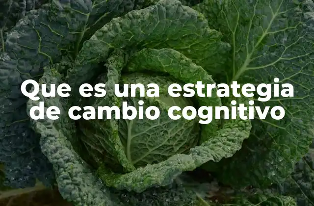 Que es una Estrategia de Cambio Cognitivo 2 Cómo las estrategias cognitivas impactan en el bienestar psicológico