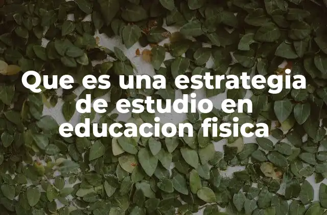 Que es una Estrategia de Estudio en Educacion Fisica