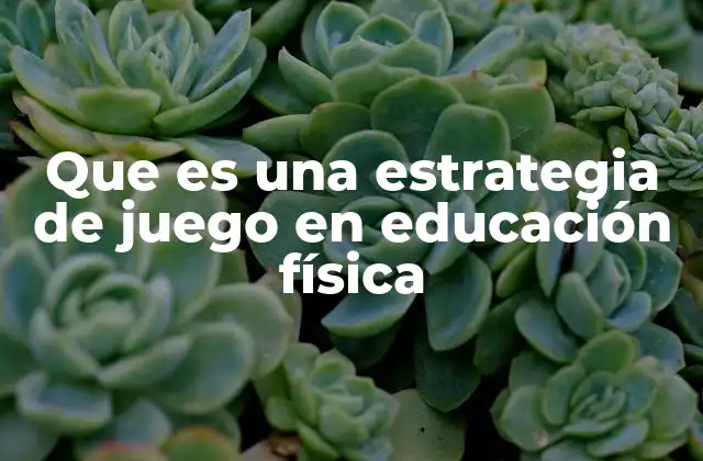 Que es una Estrategia de Juego en Educación Física