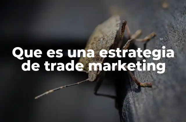 Que es una Estrategia de Trade Marketing