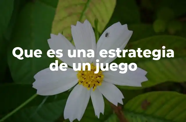 Que es una Estrategia de un Juego