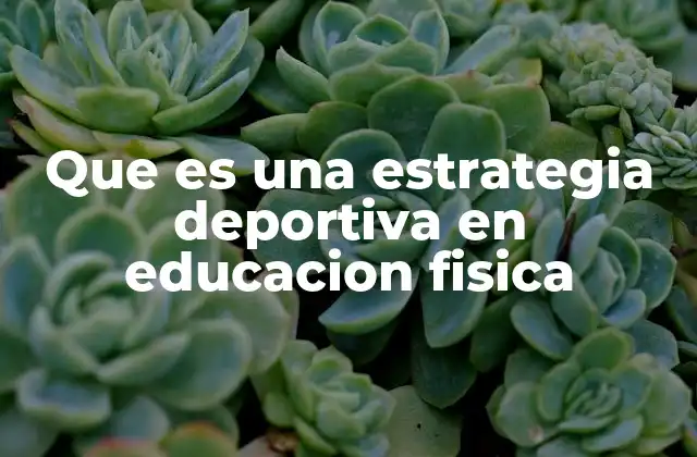 Que es una Estrategia Deportiva en Educacion Fisica