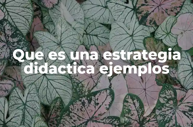 Que es una Estrategia Didactica Ejemplos