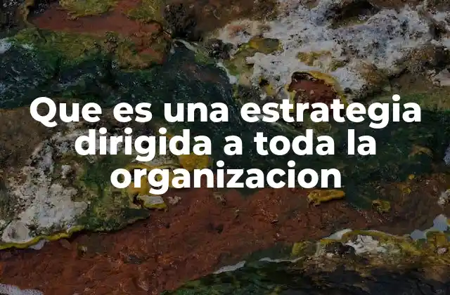 Que es una Estrategia Dirigida a Toda la Organizacion