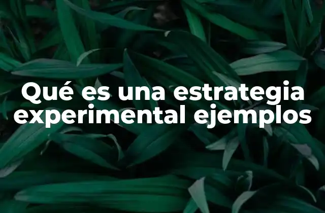 Qué es una Estrategia Experimental Ejemplos