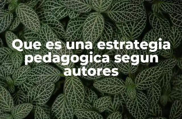 Que es una Estrategia Pedagogica Segun Autores