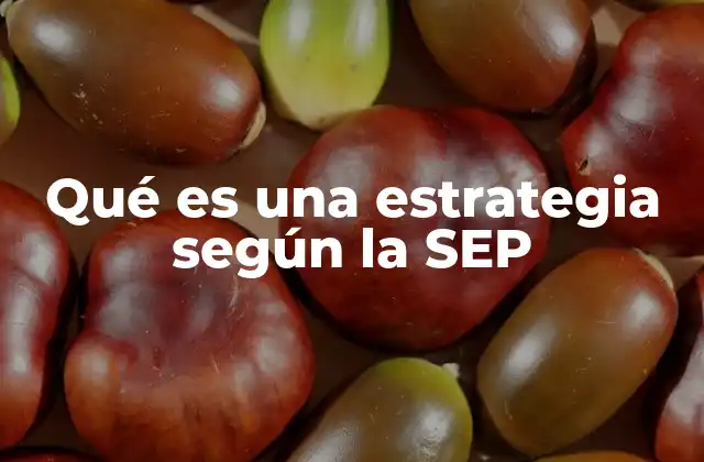 Qué es una Estrategia según la Sep