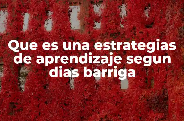 Que es una Estrategias de Aprendizaje Segun Dias Barriga