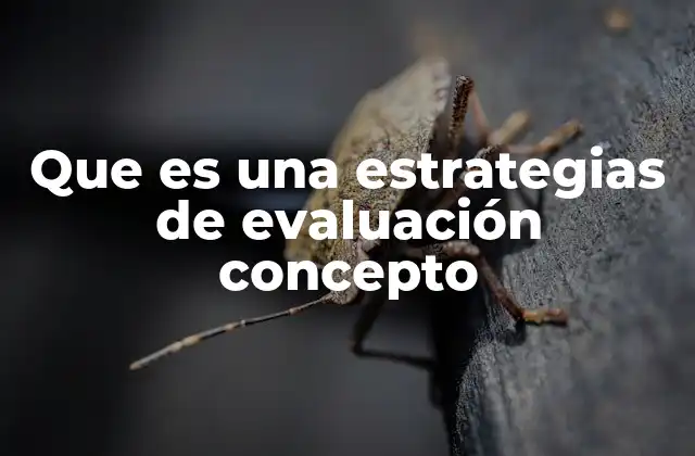 La importancia de diseñar estrategias de evaluación efectivas