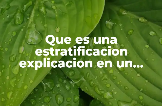 Que es una Estratificacion Explicacion en un Mapa Conceptual