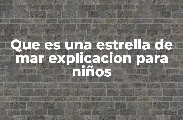 Cómo se mueve una estrella de mar