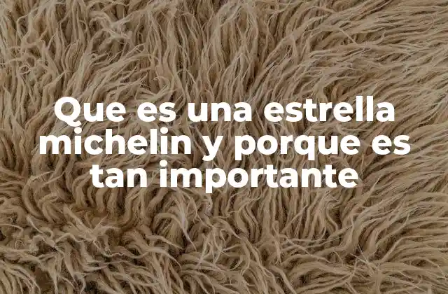 Que es una Estrella Michelin y Porque es Tan Importante