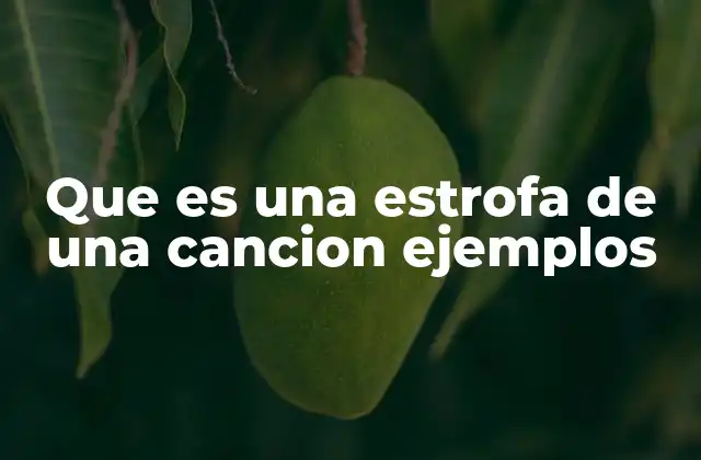 La importancia de la estrofa en la estructura de una canción