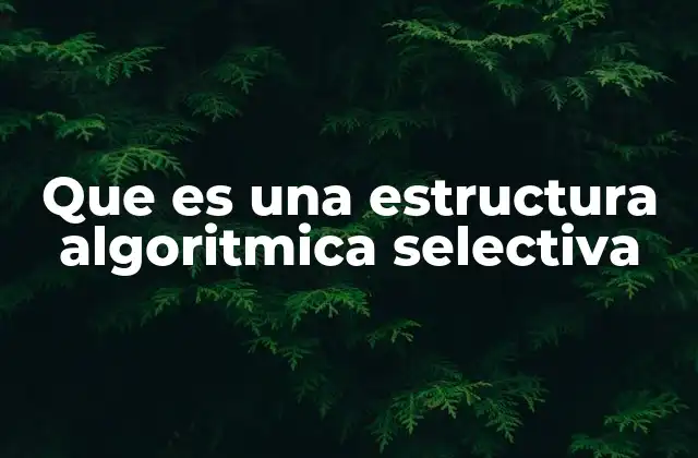 El control de flujo en la toma de decisiones