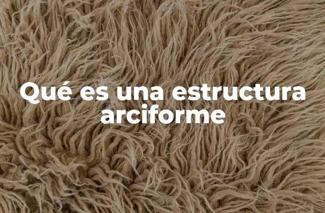 Qué es una Estructura Arciforme