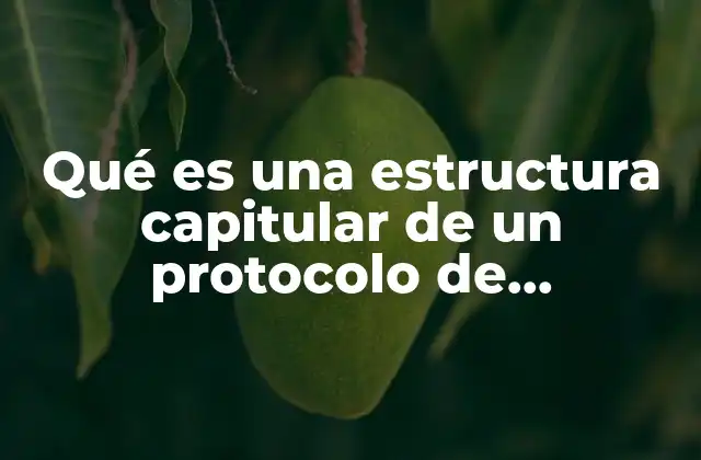 Qué es una Estructura Capitular de un Protocolo de Investigación