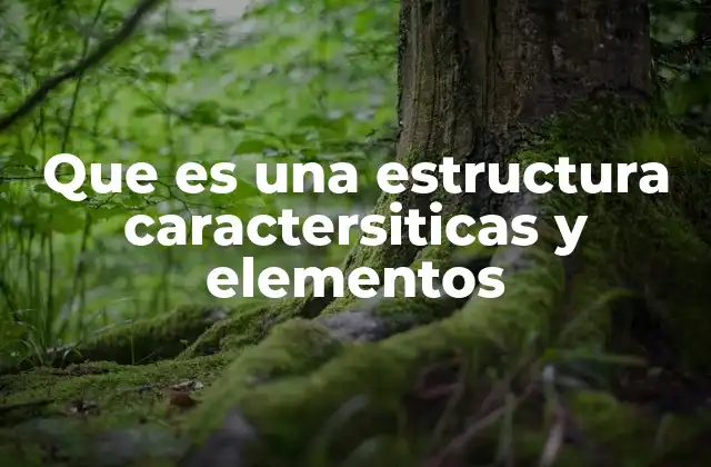 Que es una Estructura Caractersiticas y Elementos