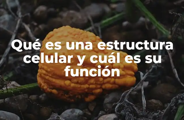 Qué es una Estructura Celular y Cuál es Su Función