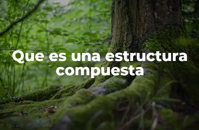 Que es una Estructura Compuesta