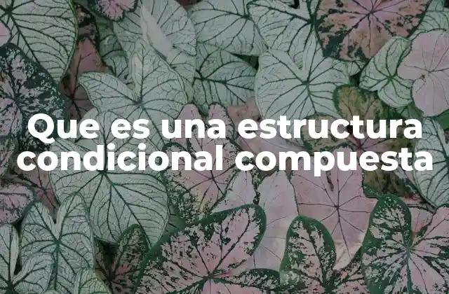 Que es una Estructura Condicional Compuesta
