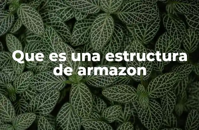 Que es una Estructura de Armazon