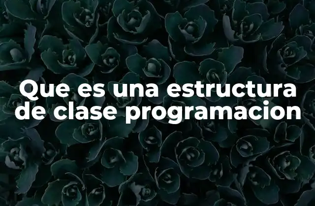 Que es una Estructura de Clase Programacion 2 La base del diseño orientado a objetos