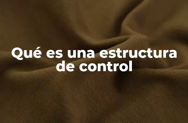 Qué es una Estructura de Control
