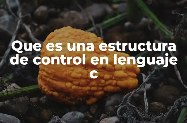 Que es una Estructura de Control en Lenguaje C