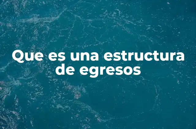Que es una Estructura de Egresos 2 La importancia de clasificar los gastos en una estructura de egresos