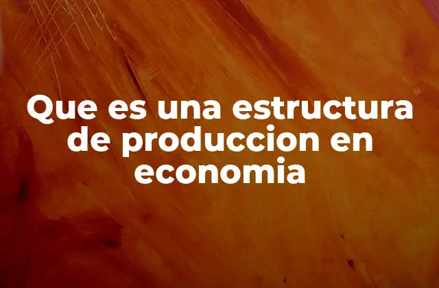 Que es una Estructura de Produccion en Economia