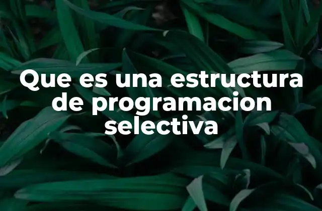 Que es una Estructura de Programacion Selectiva