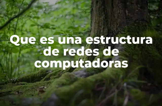 Que es una Estructura de Redes de Computadoras