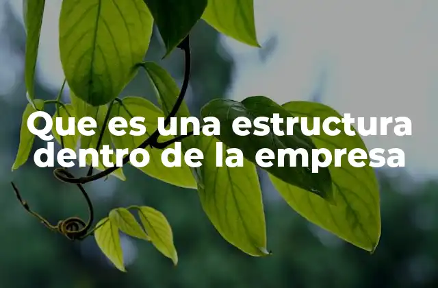 Que es una Estructura Dentro de la Empresa
