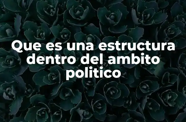 Que es una Estructura Dentro Del Ambito Politico