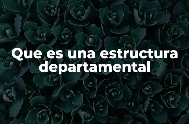 Que es una Estructura Departamental