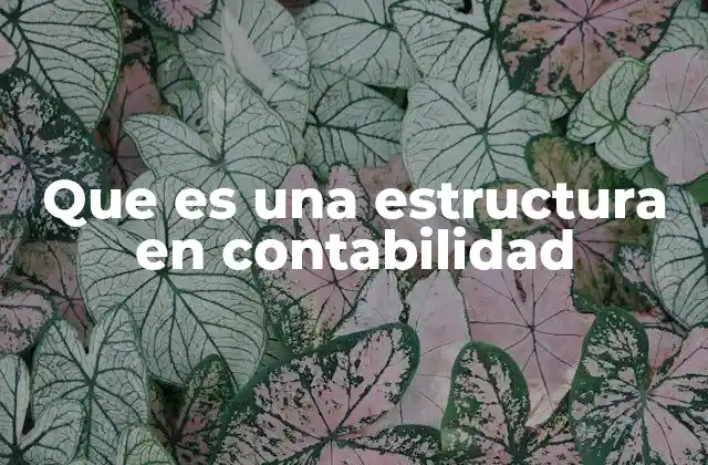 Que es una Estructura en Contabilidad