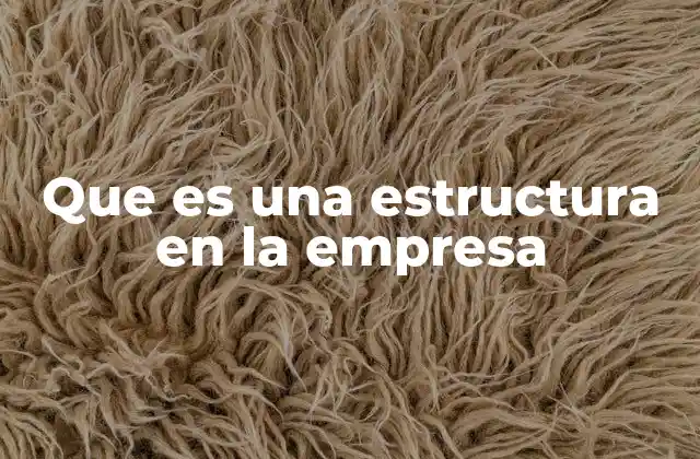 Que es una Estructura en la Empresa