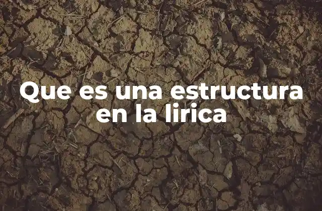 Que es una Estructura en la Lirica