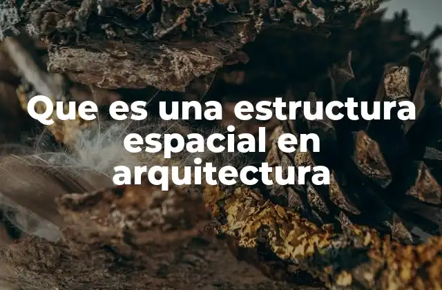 Que es una Estructura Espacial en Arquitectura
