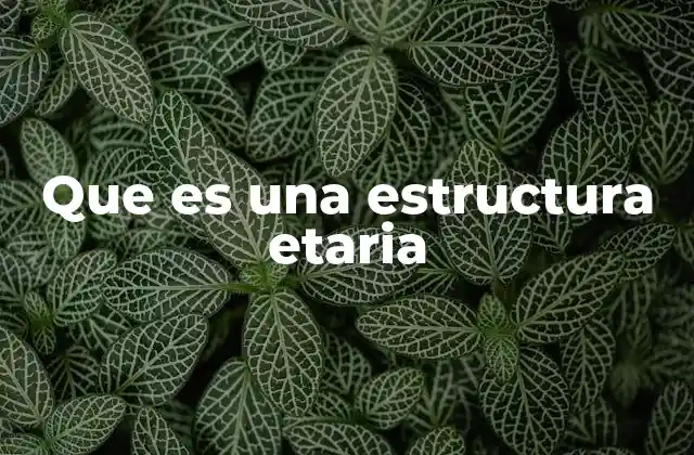 Que es una Estructura Etaria